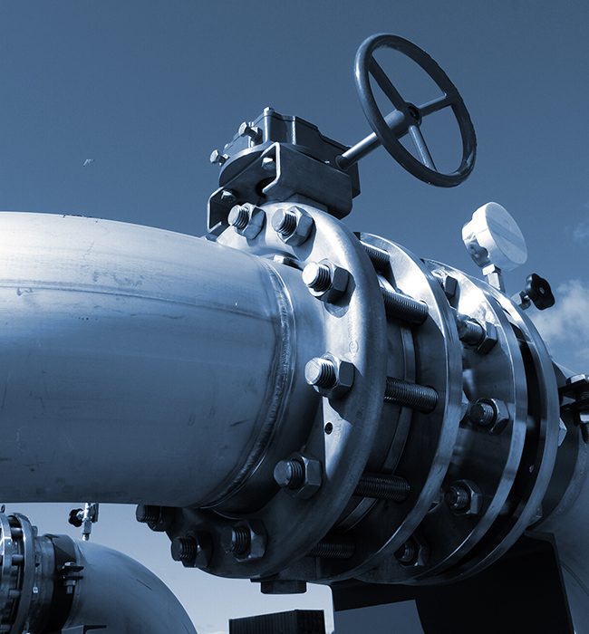 Сұйықтық әлеміндегі «Басқару сақшысы».